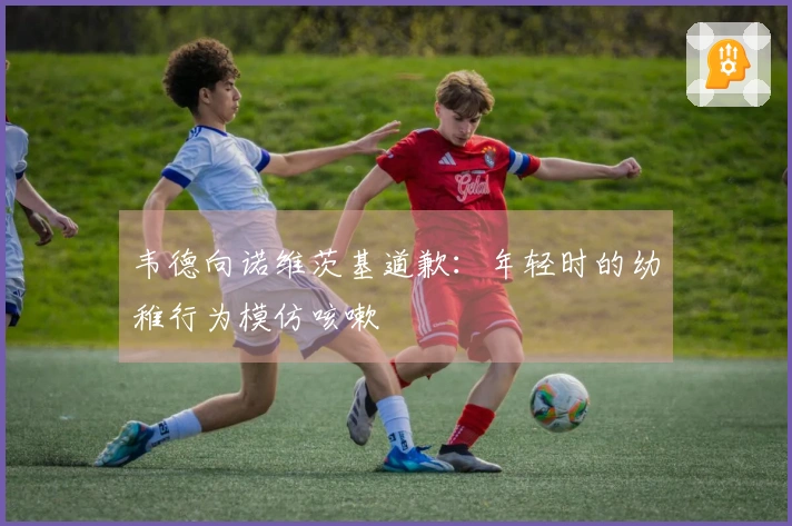 韦德向诺维茨基道歉：年轻时的幼稚行为模仿咳嗽