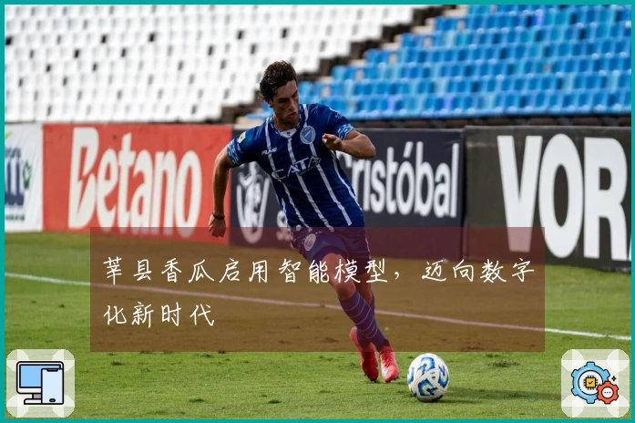 莘县香瓜启用智能模型，迈向数字化新时代